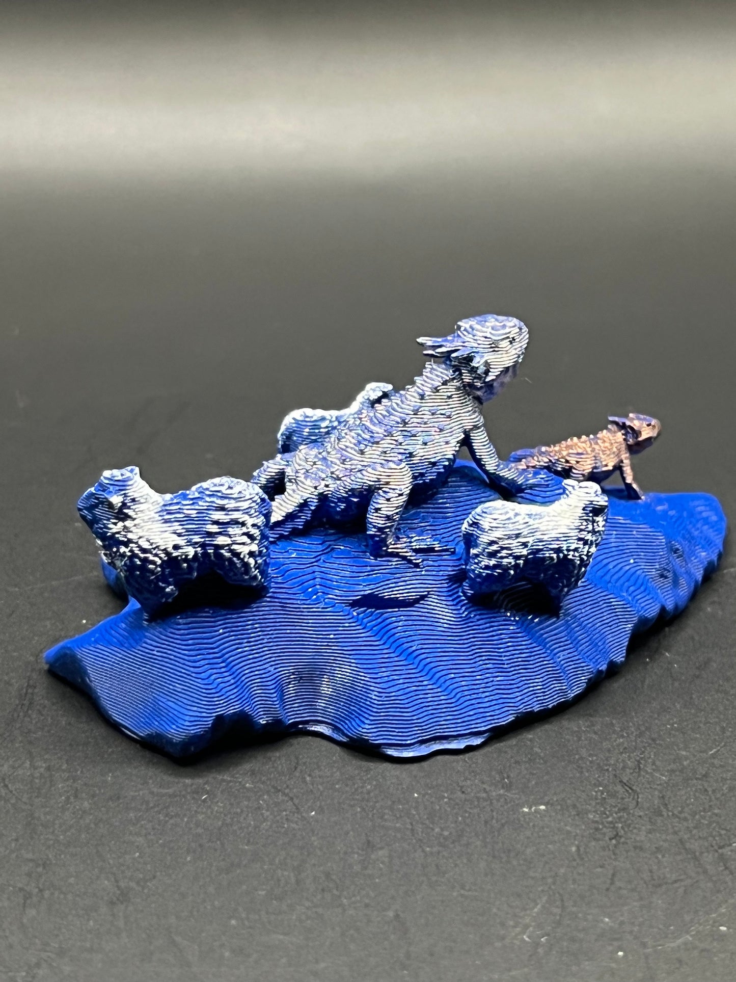 Horned toad set FREE SHIPPING